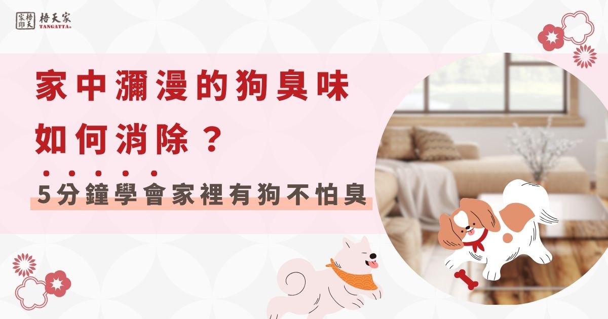 家中瀰漫的狗臭味如何消除？5分鐘學會家裡有狗不怕臭！