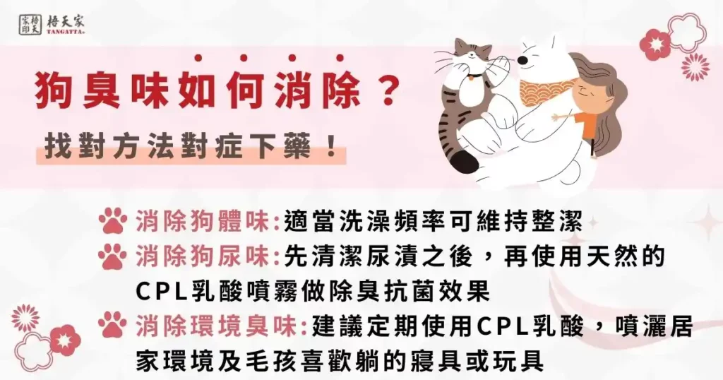 狗臭味如何消除？找對方法對症下藥