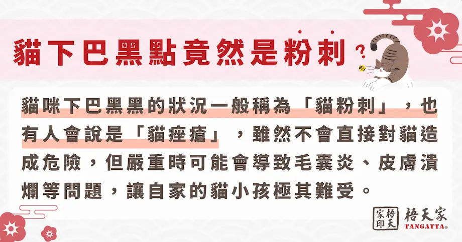貓下巴黑點竟然是粉刺！？